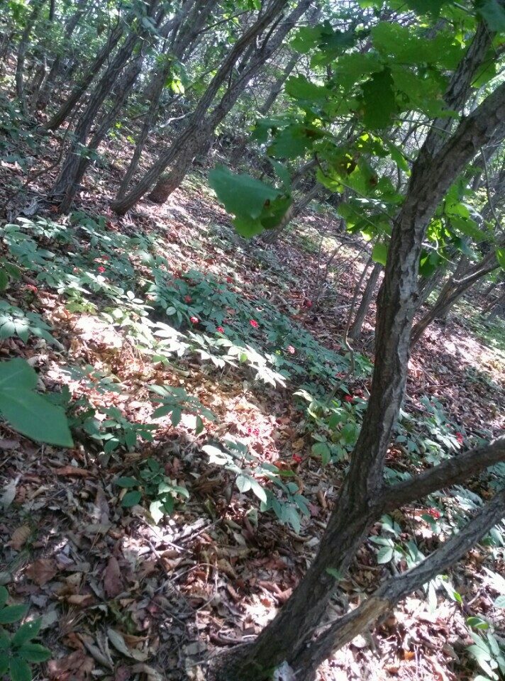 요라이프 매장 사진