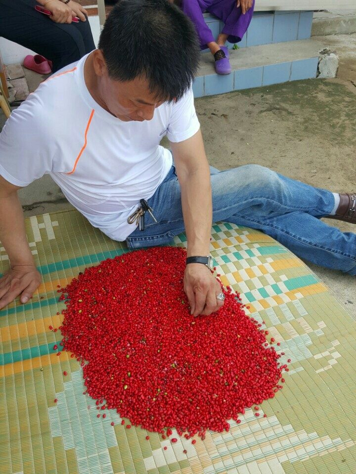 요라이프 매장 사진