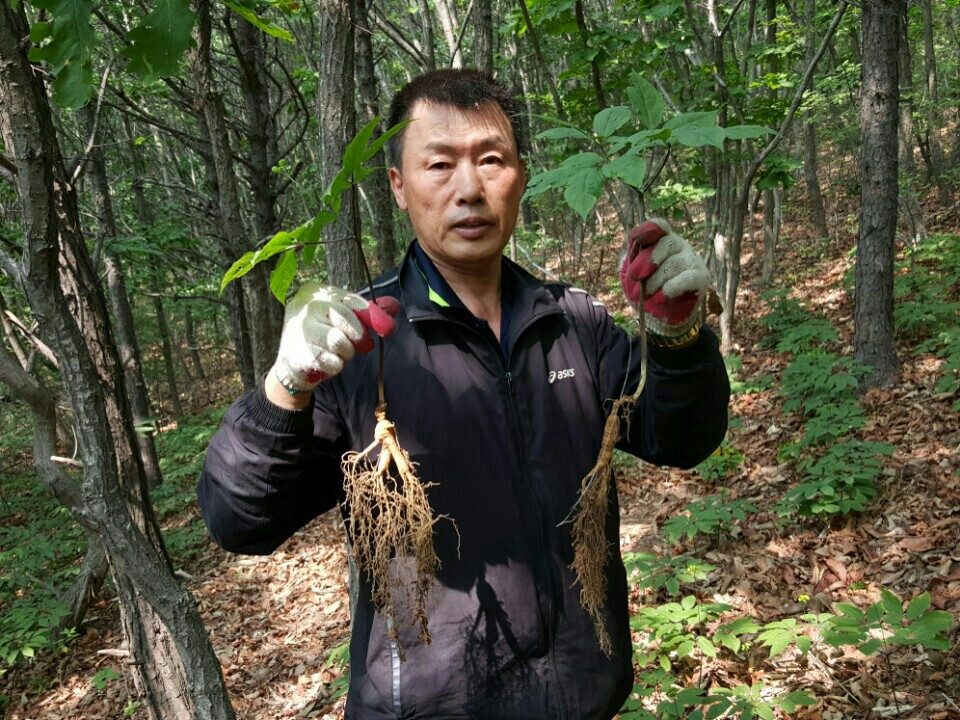 요라이프 매장 사진