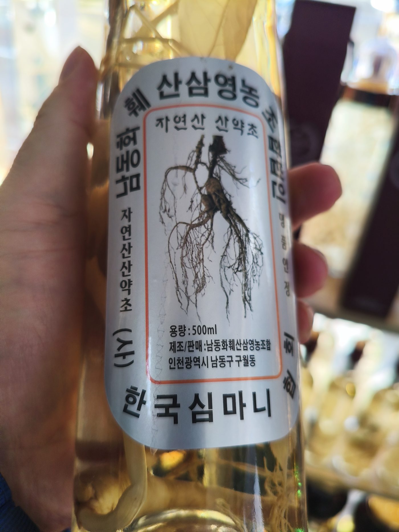 요라이프 매장 사진