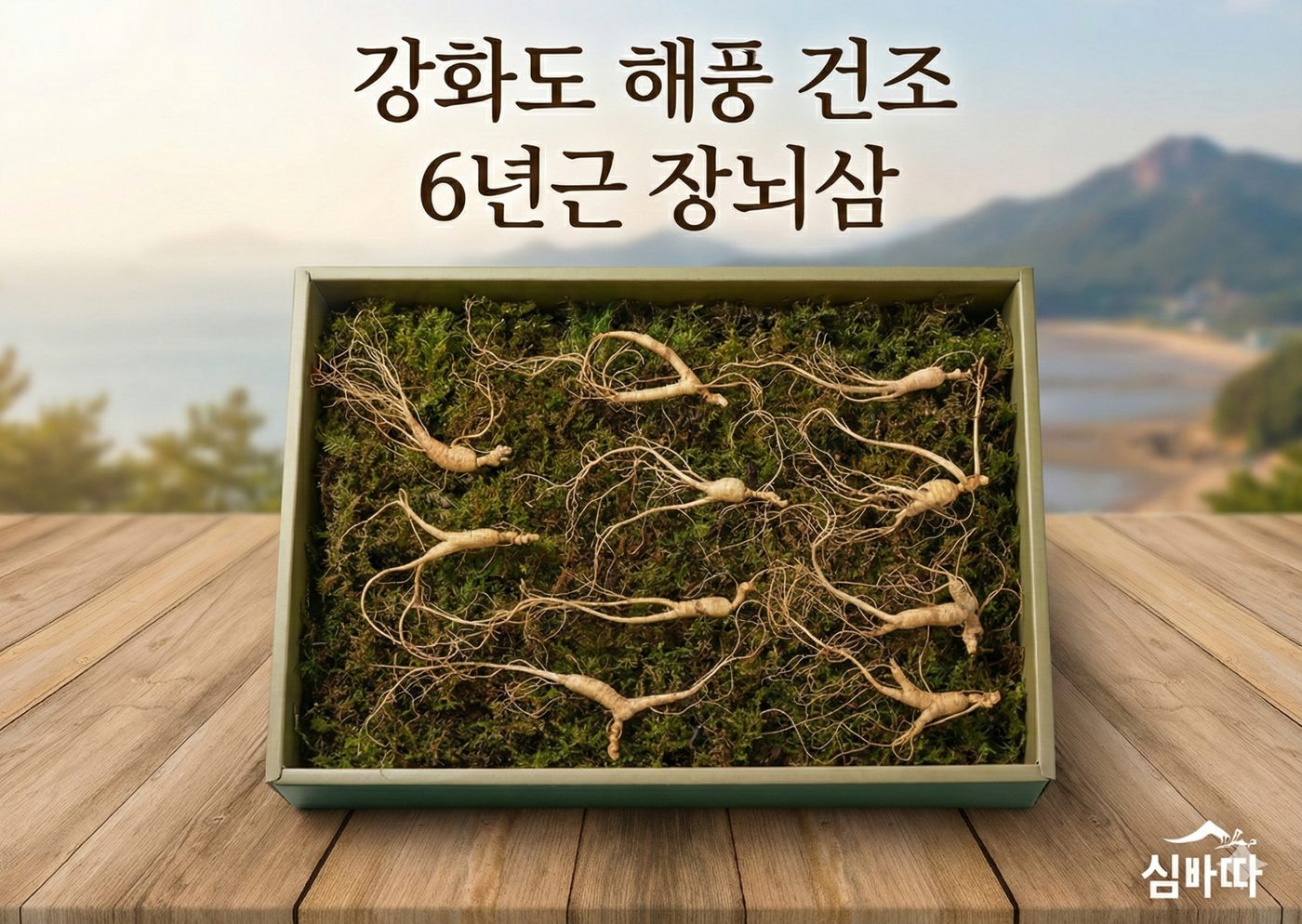 요라이프 매장 사진