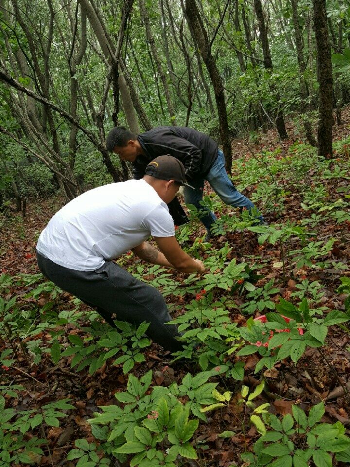 요라이프 매장 사진