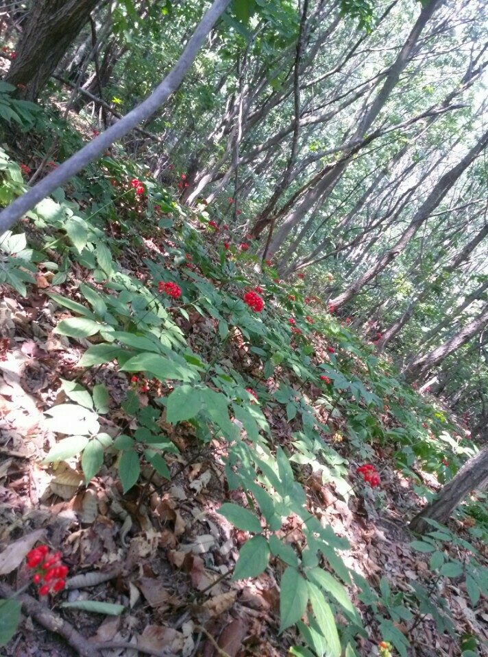 요라이프 매장 사진