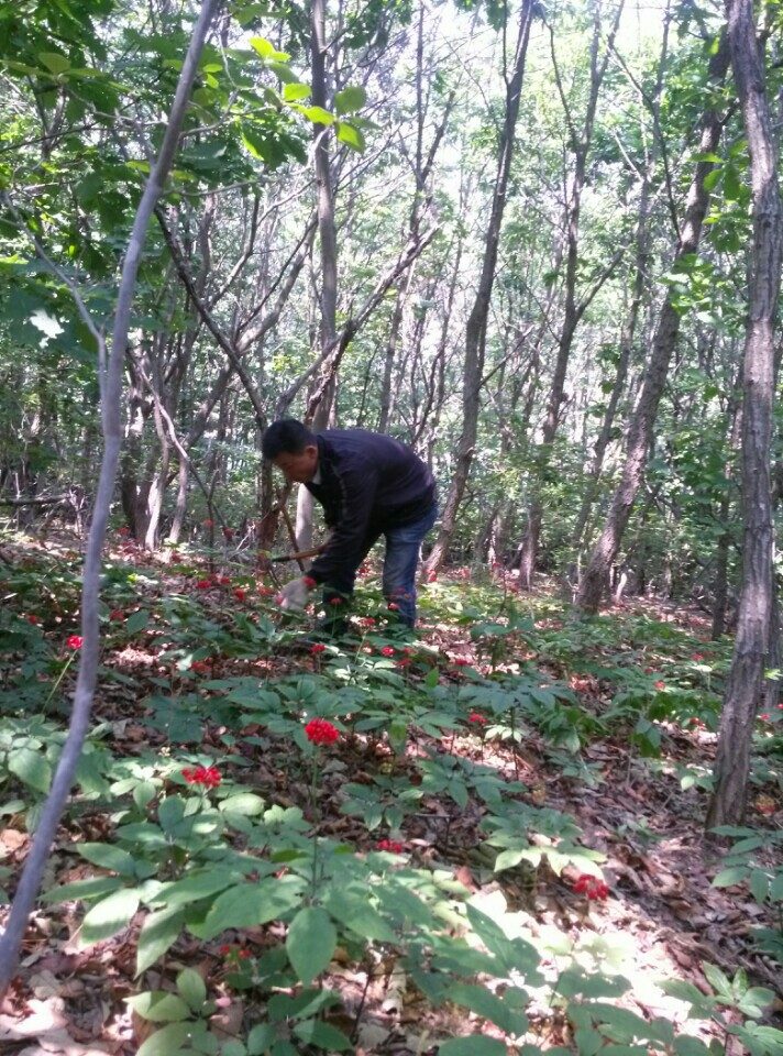요라이프 매장 사진