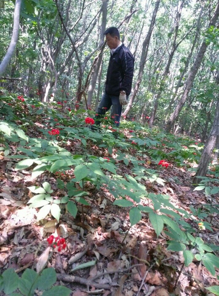 요라이프 매장 사진