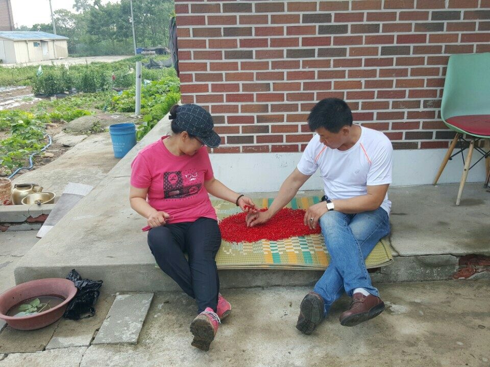 요라이프 매장 사진
