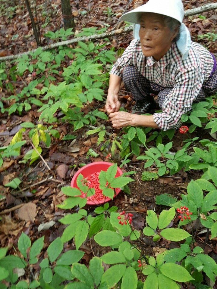 요라이프 매장 사진