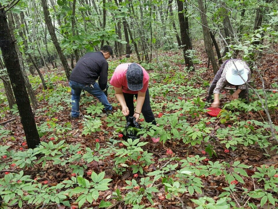 요라이프 매장 사진